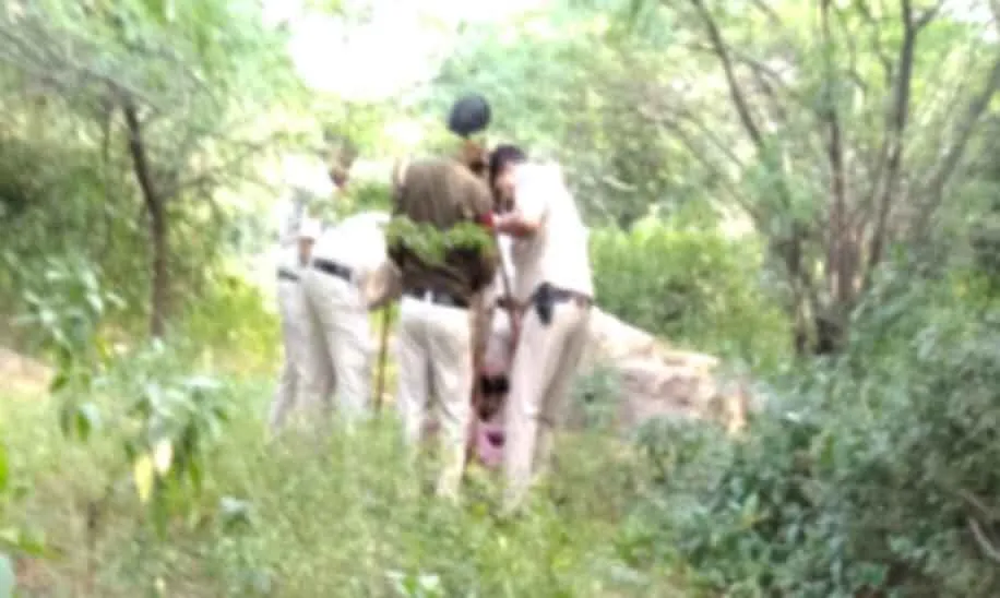 दिल्ली पुलिस ने ‘हत्यारे’ आफताब के साथ महरौली के जंगल में कटे शव को खोजा