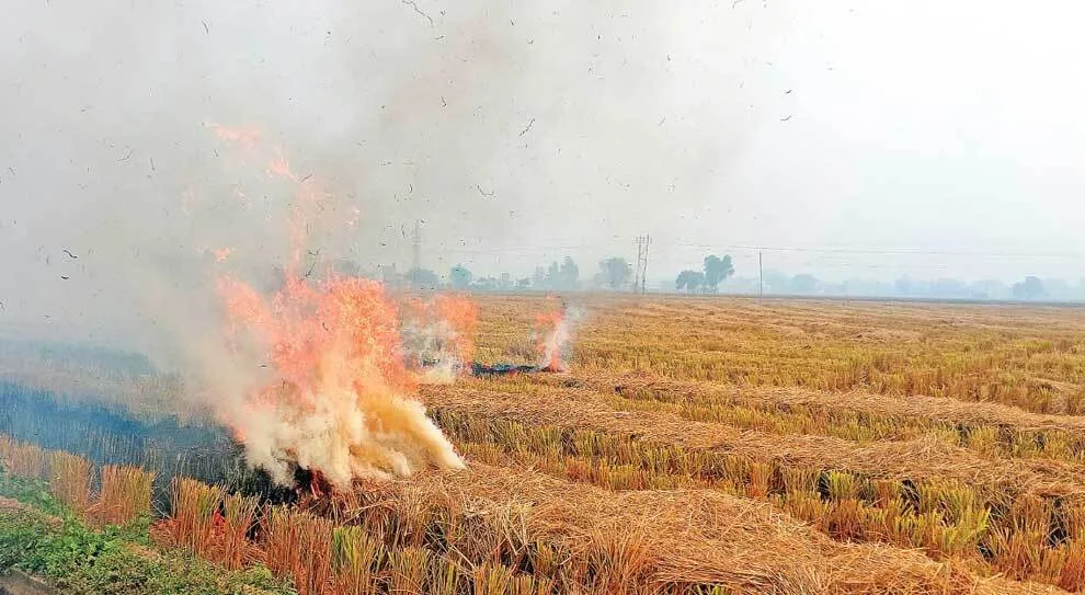 आसमान में छाया पराली का धुआं, पांच दिनों बाद दिखा सूर्य