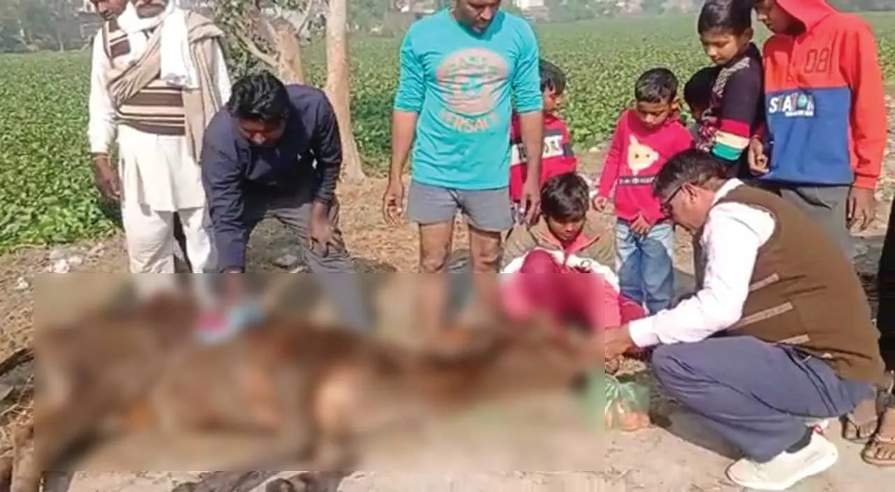 …किस बड़ी घटना का है इंतजार?