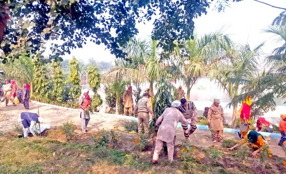 साध-संगत ने लगाए पौधे अब दे रहे फल व छाया