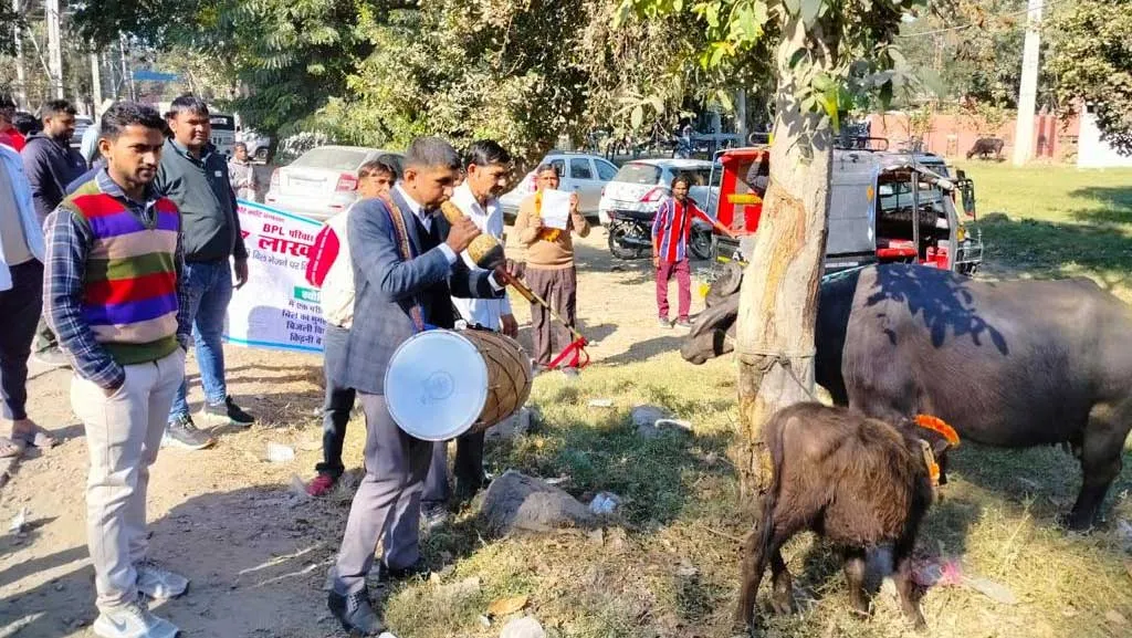हरियाणा में बिजली उपभोक्ता ने भैंस के आगे बजाई बीन, जानें क्या है मामला