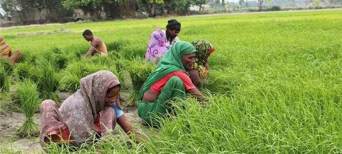 54 लाख से अधिक महिला किसानों को सरकार ने दी खुशखबरी