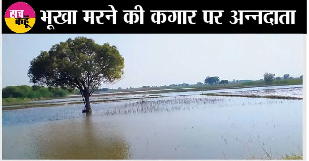 भूखा मरने की कगार पर अन्नदाता। वर्षो से पानी भराव की वजह से नही कर पा रहे बिजाई