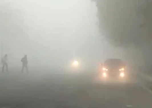 लगातार दूसरे दिन छाया घना कोहरा, सर्द हवाओं ने ठिठुराया