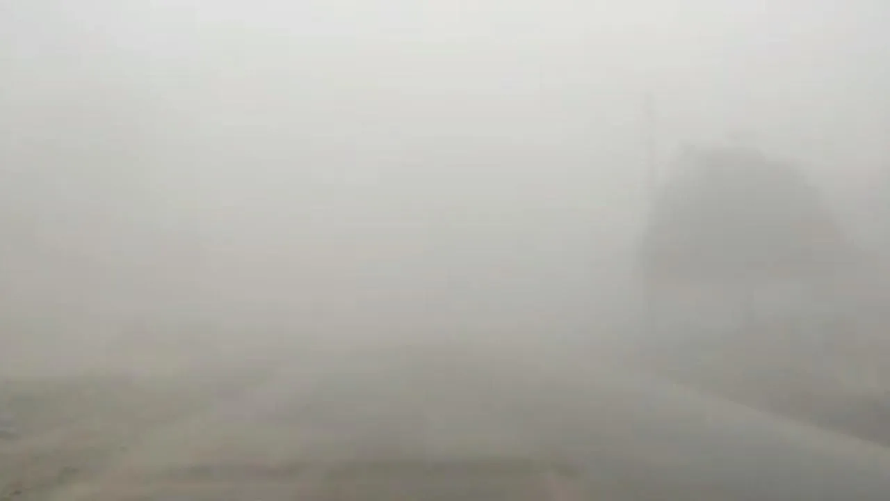  रबी की फसल के लिए फायदेमंद है सर्द मौसम