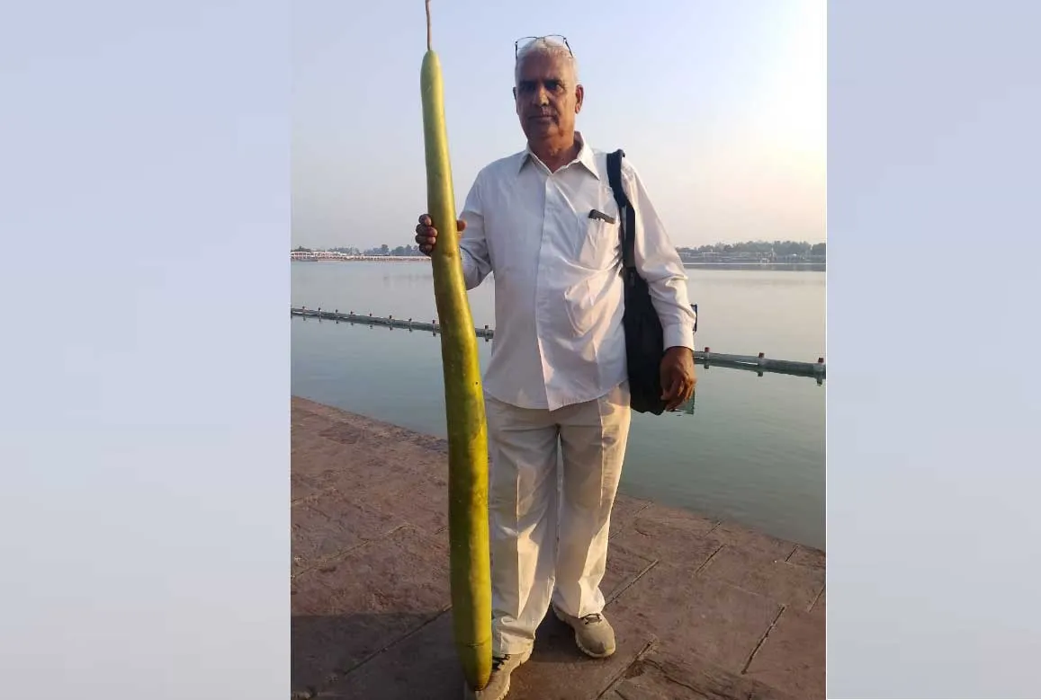 …कभी देखी हैं आदमी से बड़ी लौकी
