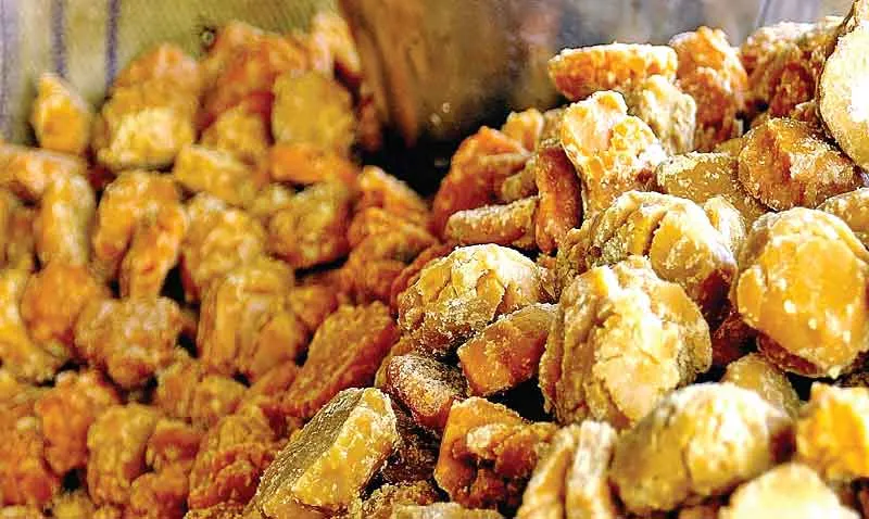 सेहत:- स्वाद के साथ सेहत का खजाना है गुड़