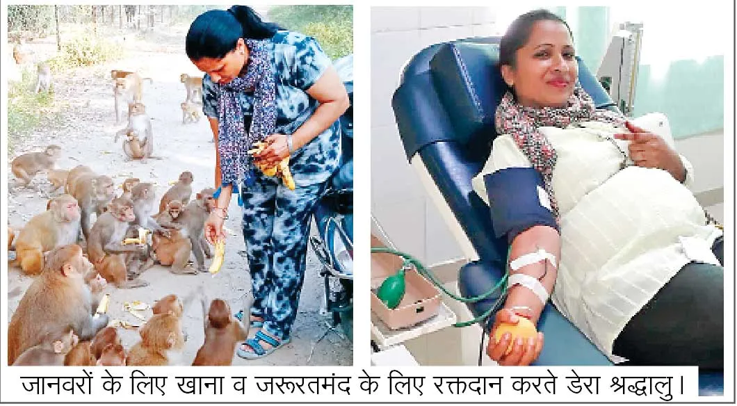 जरूरतमंद लोगों के साथ बेजुबान पशु-पक्षियों की भी देखभाल कर रहे नाभा के डेरा श्रद्धालु