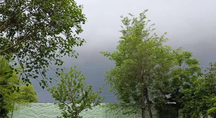 weather :  छाए बादल, हल्की बूंदाबांदी, कड़ाके की ठंड से मिली राहत