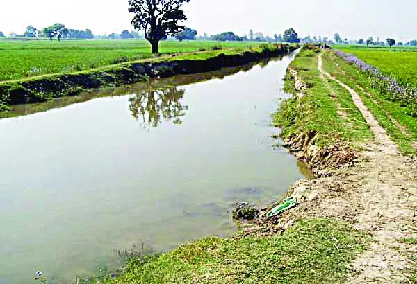 भाखड़ा प्रणाली की नहरों का साप्ताहिक वरीयताक्रम जारी