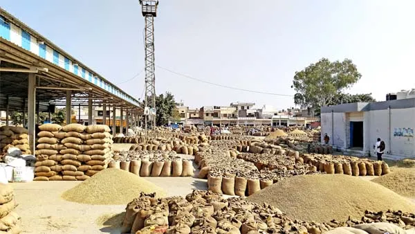 उठान नहीं होने से धान की ढेरियों से अटी अनाज मंडी