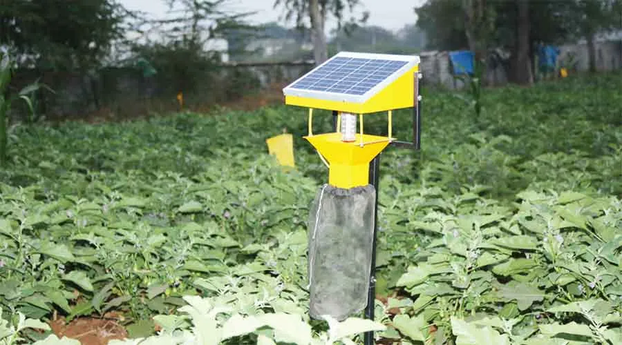 खेतों में सोलर ट्रैप लगाकर कीट पतंगों से बचाएं फसल