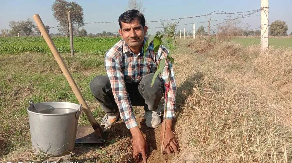 जन्मदिन पर पौधारोपण कर दिया पर्यावरण संरक्षण का संदेश