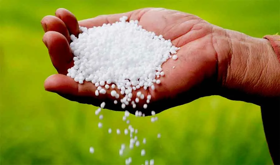 यूरिया के लिए लगी लंबी लाइन, परेशान हुए किसान