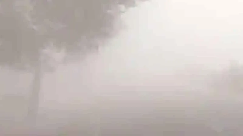 सब्जी की फसल पर मौसम की मार, किसान परेशान