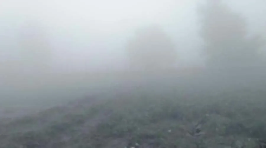कोहरे के आगोश में लिपटा समूचा इलाका, बढ़ी सर्दी