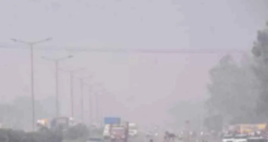 कोहरे में लिपटा पंजाब, बठिंडा सबसे ठंडा