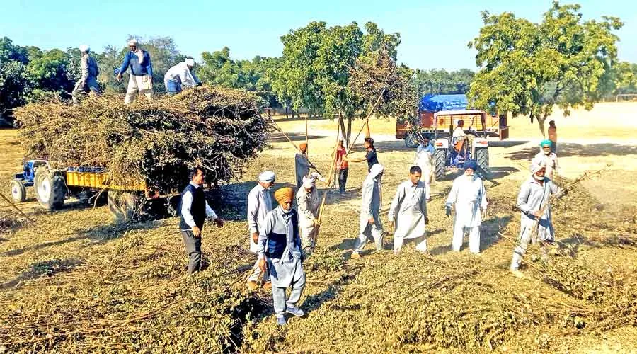 सेवादारों में दिखा सेवा के प्रति उत्साह