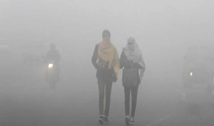 कोहरे की चादर में लिपटा इलाका, सर्द हवाओं ने छुड़ाई कंपकंपी