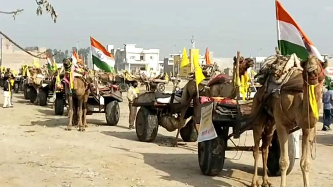 13 जिलों का अलग मरुप्रदेश बनाने की मांग, निकले ऊंट यात्रा पर