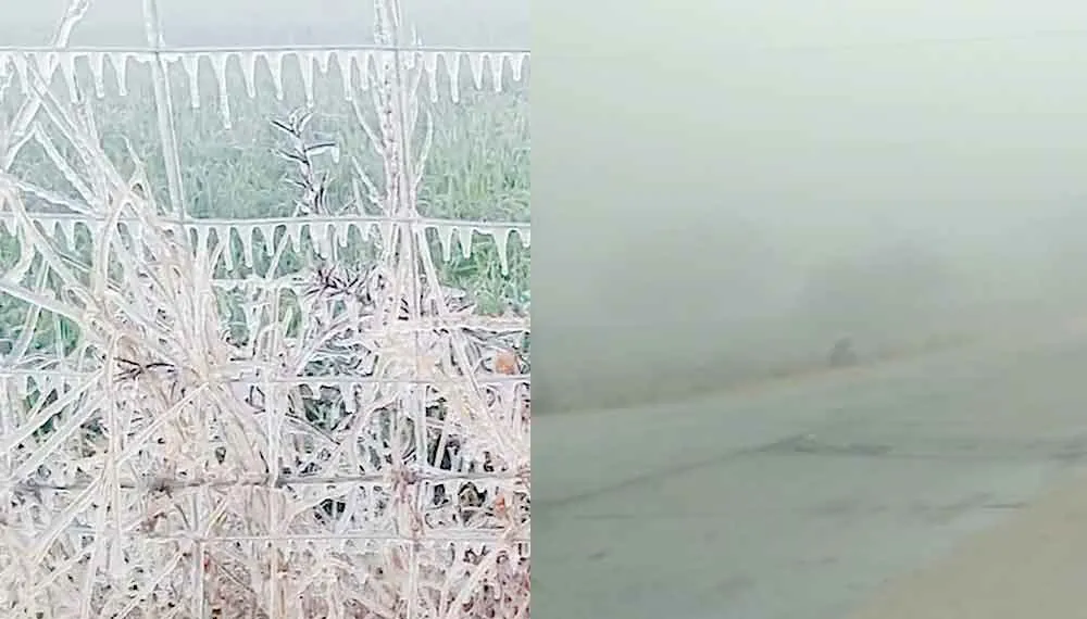 राजस्थान के जोबनेर में पारा माइनस-3 डिग्री सेल्सियस