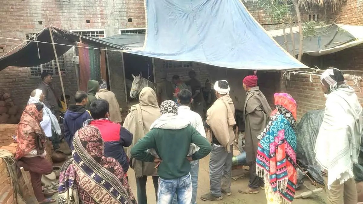 पांच घोड़ियों की मौत के बाद फैली दहशत