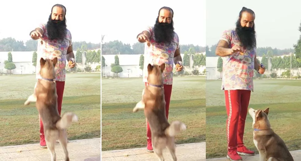 Saint Dr MSG Insan