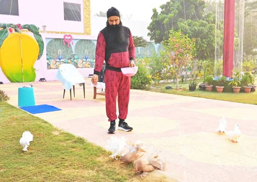 Saint Dr. MSG Bird Day