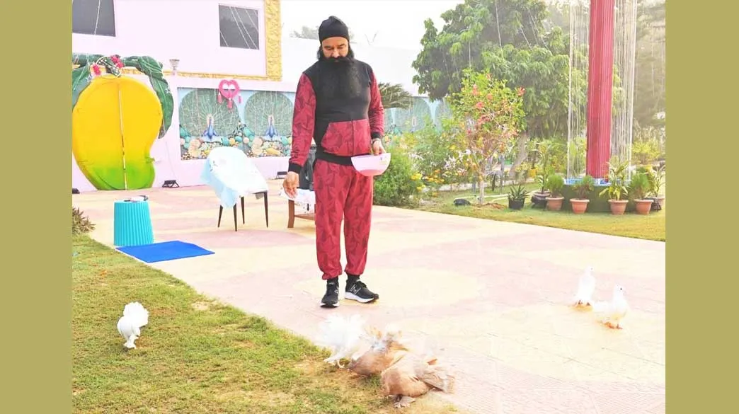 Bird Day पर Saint Dr. MSG के Instagram पर आई नई पोस्ट