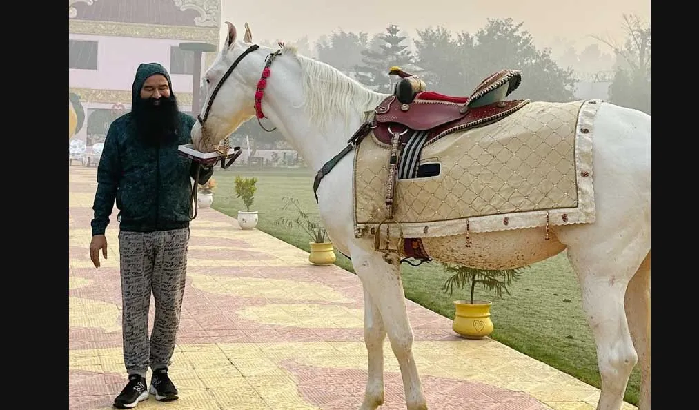 Saint Dr. MSG Insan Instagram