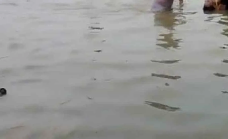 नदी में उतराता मिला महिला और आठ माह के बच्चे का शव