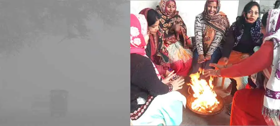 सर्दी के चलते पशु-पक्षी व आमजन का जनजीवन अस्त-व्यस्त