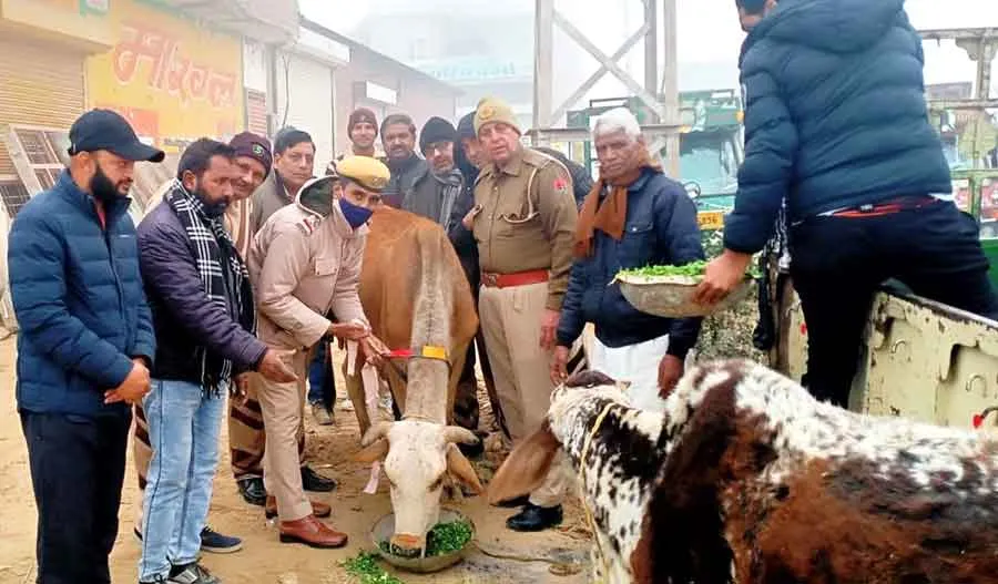 सड़क हादसे रोकने के लिए साध संगत ने पशुओं व वाहनों पर लगाए रिफ्लेक्टर
