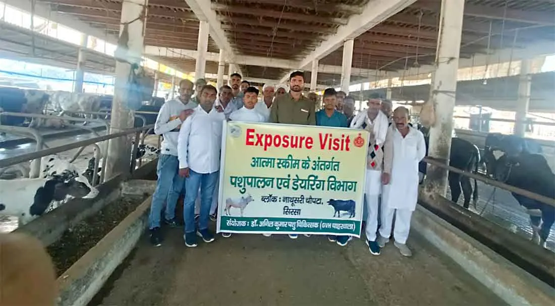 डेरा सच्चा सौदा में आधुनिक डेयरी भ्रमण