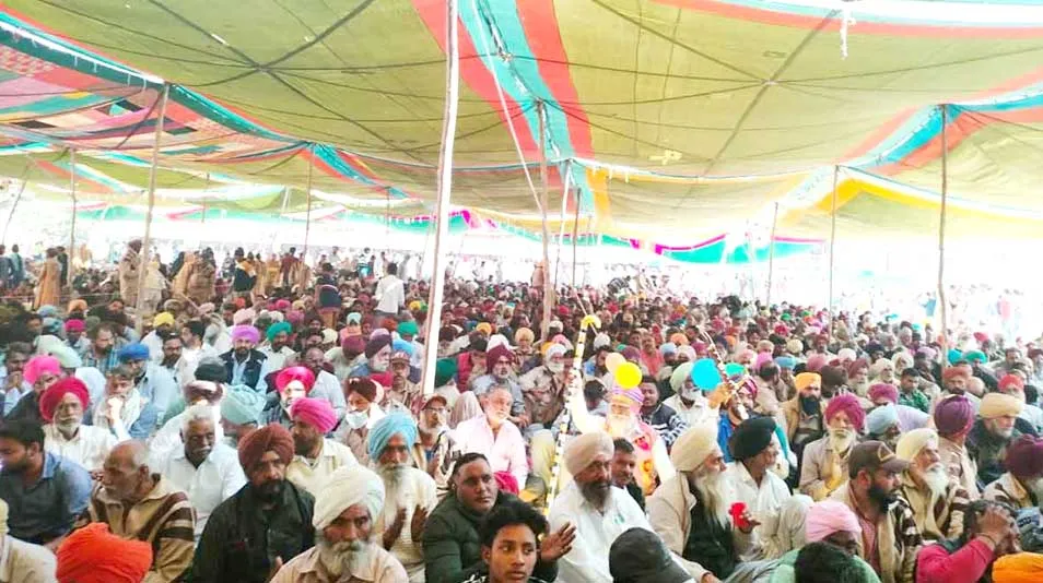 जयपुर में एमएसजी भंडारे पर उमड़ा श्रद्धा का सैलाब