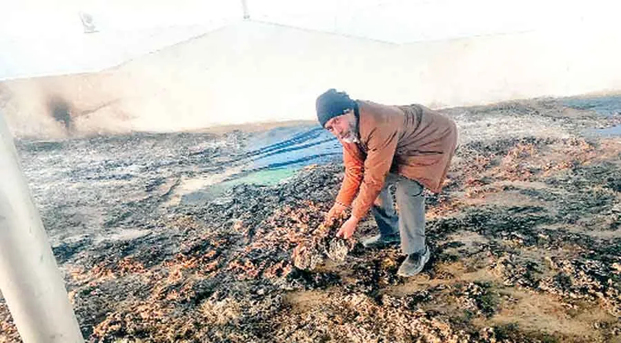 शॉर्ट-सर्किट से रिजोर्ट में लगी आग, लाखों का नुक्सान