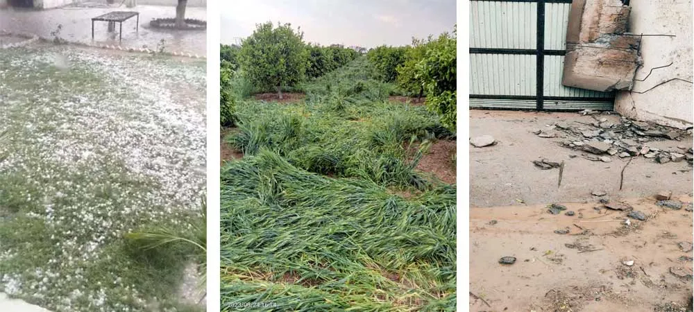 Weather Update: अगर आप घर से बाहर निकल रहे हो तो मौसम विभाग की ये चेतावनी जरूरी सुन लो