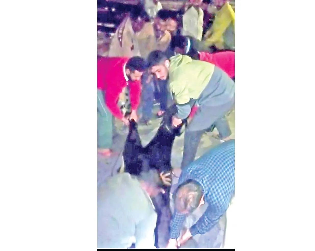 सेवादारों ने गड्ढे में गिरी गाय को सुरक्षित बाहर निकालकर बचाई जिंदगी