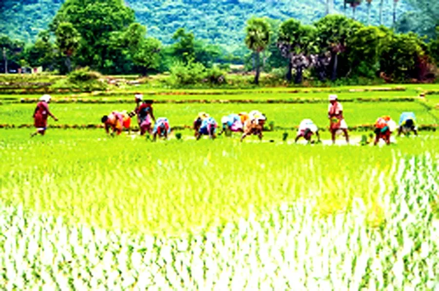 किसान को उसका हक मिलना चाहिए