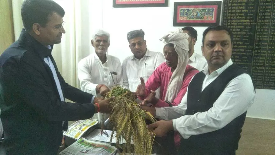 दैवीय आपदा के तहत नष्ट हुई फसलों का मुआवजा दे सरकार: बिजेंद्र सिंह