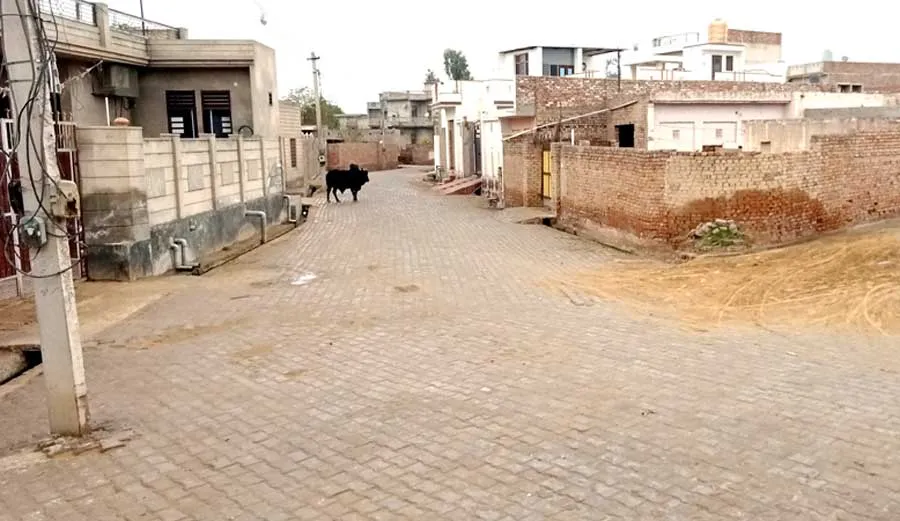 हल्की बारिश से मौसम सुहाना, ओलावृष्टि का ‘अलर्ट’