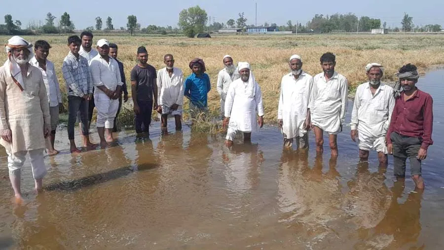 मामौर झील से सैकड़ों बीघा फसल जलमग्न