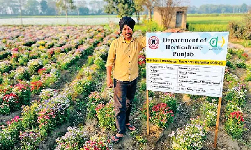 फूलों की खेती कर प्रेरणास्त्रोत बना प्र्रगतिशील किसान हरमन सिंह