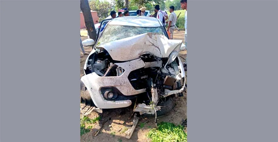 गाड़ी पेड़ से टकराई, भाई-बहन की मौत