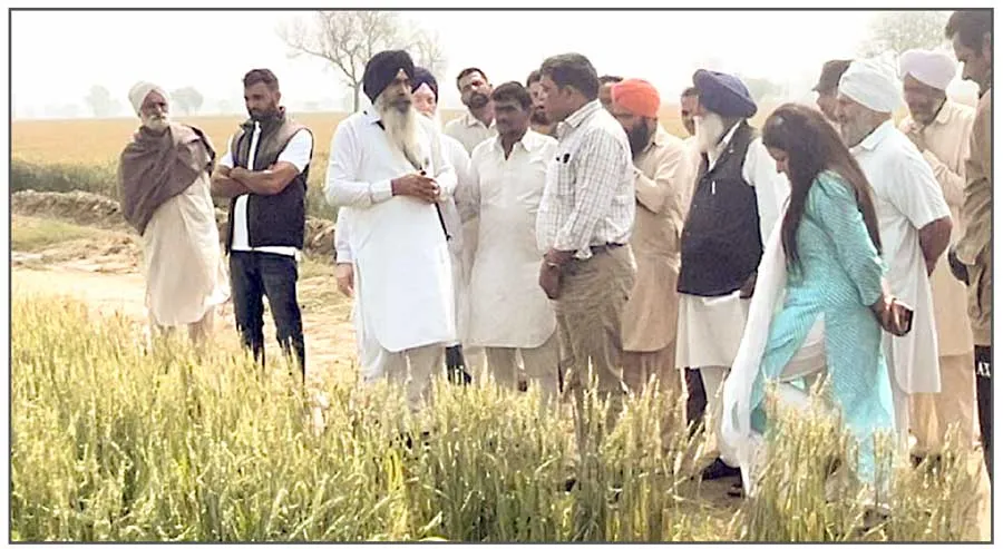 किसानों को नुक्सान की जानकारी विभागीय पोर्टल पर देने को कहा