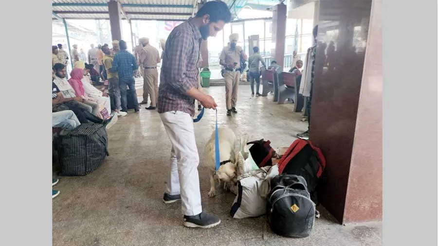 बठिंडा पुलिस ने रेलवे स्टेशन पर चलाया चैकिंग अभियान