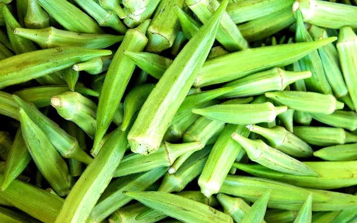 Bhindi ki Kheti