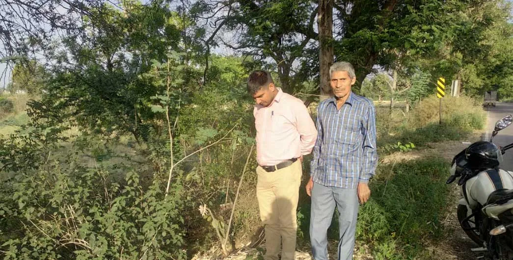 अज्ञात वाहन की टक्कर से हिरन की मौत