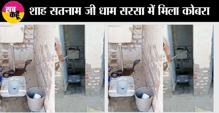 Snake: टॉयलेट जाते वक्त रखे ध्यान! शौचालय में मिला कोबरा, देख छूटे लोगों के पसीने