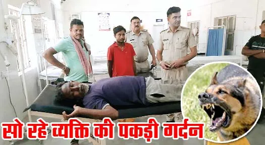 कुत्ते का आतंक, सो रहे अधेड़ की पकड़ी गर्दन, ट्रामा सेंटर में भर्ती